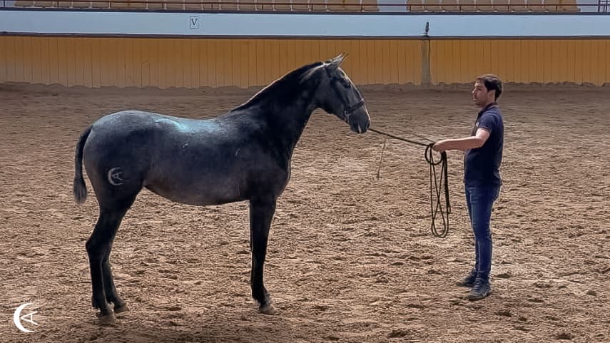Sanlúcar
